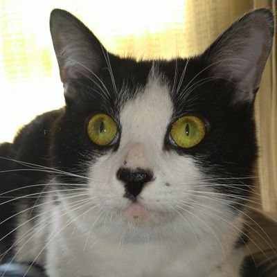 GtSAa8uUYxcEslQ's profile picture. 