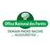 Office national des forêts (@ONF_Officiel) Twitter profile photo