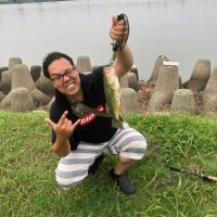 たむしん (@tamshinfree) Twitter profile photo