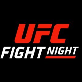 UFC 256 Fight