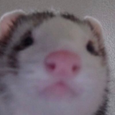 歩く米さんのプロフィール画像