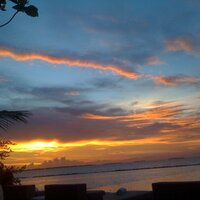 Sophie Dorgan (@sophiedorgan) 's Twitter Profile Photo