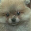 Barbara Drezek - @Basia33 - Twitter