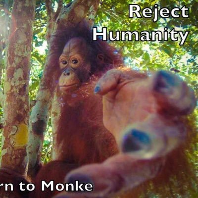 Monke