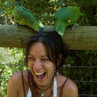 Erika Degani (@erikadegani) 's Twitter Profile