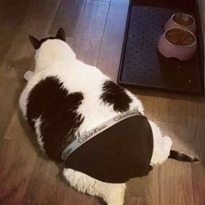 절절이さんのプロフィール画像