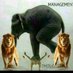 IRVIN MDUDUZI (@mduduziirvin) Twitter profile photo IRVIN MDUDUZI (@mduduziirvin) Twitter profile photo
