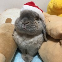 しお (@siosio_0701) 's Twitter Profile