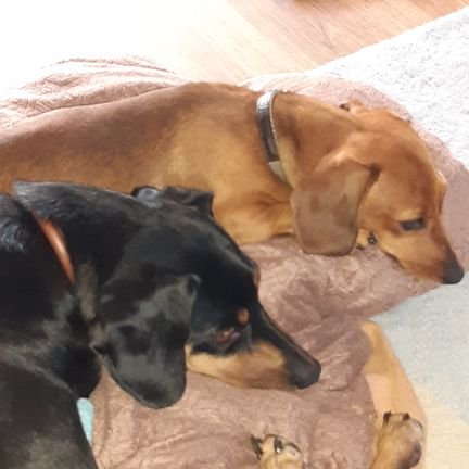 wardo12345678's profile picture. 