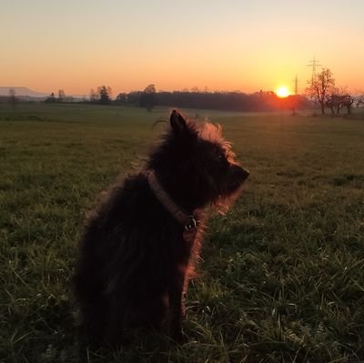 beekeeper1965's profile picture. 