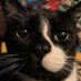 T. G. (@tg_proverbs) Twitter profile photo