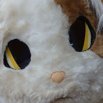 neko2mike3's profile picture. アカウントのっとられたのでつくりなおした系