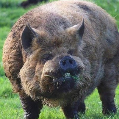 bleepbl65476694's profile picture. lowly little worm