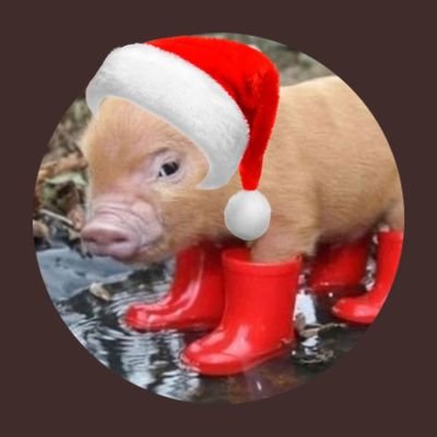 Melmak40717286's profile picture. gesperrt und wide3r da