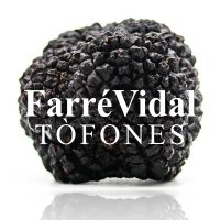 FarréVidalTòfones (@farre_vidal) 's Twitter Profile