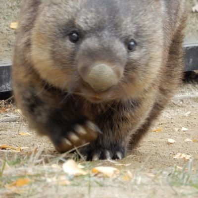 矯正フェチで何が悪い？
勝手にフォローしてごめんなさい。
例えネットに晒されてもめげない！
当方は一般人の為個人を特定するなら
専門家に相談します！