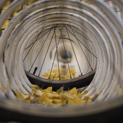 he_yiqian's profile picture. BUPT master