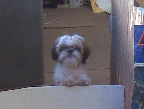 gipack75's profile picture. Spent 4 and 1/2 in the Marine Corps back in the 70's