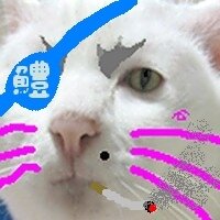 ずぼら～(@zuzuzuborahhh) 's Twitter Profile Photo