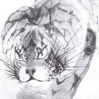 しばやん (@shibayan1954) 's Twitter Profile Photo