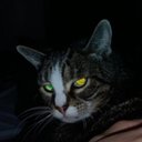 Sean Ortega - @richhobo56 - Twitter