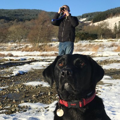 Profile Picture of Skye And Frisa (@skyeandfrisa) on Twitter