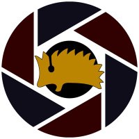 WholeHog Media (@wholehog_media) 's Twitter Profile
