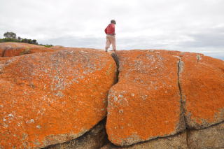 Journalist working in Orange, NSW Australia. Opinions and views are mine, not necessarily those of my employer.