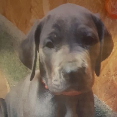 Amys_Konto's profile picture. 