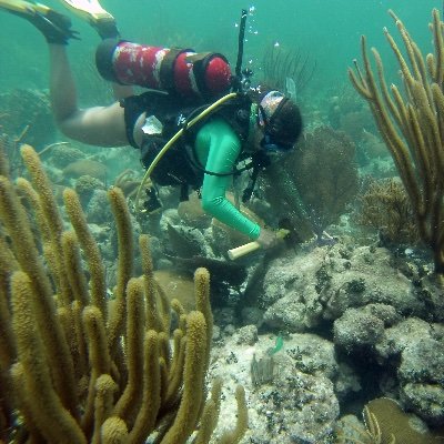 Ocean took me and I accepted my fate. Ph.D. student with @Correalab and @Sternarchella studying coral reef microbial communities and reef fish! she/her/mom