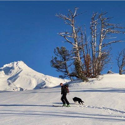 Relocated Philly fan. consultant, dog owner, skier.  Oregon by way of NJ, PA and DC