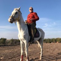 Suleyman YÜCELER Kamu Müh. (@syuceler) 's Twitter Profile