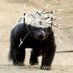 Belligerent Badger (@jacobklinger) Twitter profile photo Belligerent Badger (@jacobklinger) Twitter profile photo