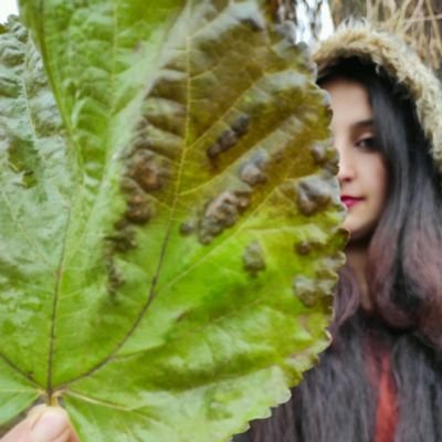 dijle_glr21's profile picture. kî çû nehat...