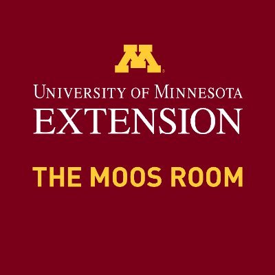 UMNmoosroom Profile Picture