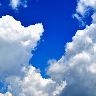 buzzbuzzing0's profile picture. 