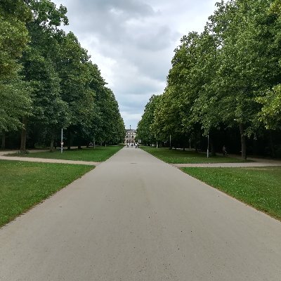 neustundagahmet's profile picture. 