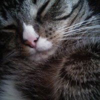 Mizumi (@aqualieur) 's Twitter Profile Photo