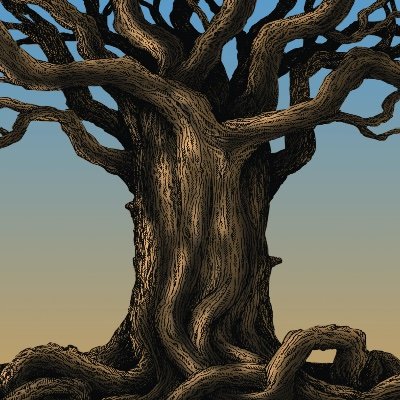 The Protectors of the Wood Adventure Series is an eco-fantasy adventure saga about a group of teenagers who struggle to save the world from climate change.