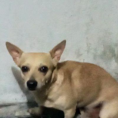 Gael12427627's profile picture. Xd