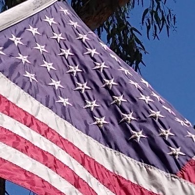 wakeupbeheard2's profile picture. Political Junkie: Love America: PC has run amuck: Snarky  & Sarcastic at times: This is BACKUP ACCT for @wakeupbeheard