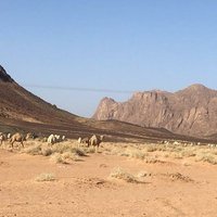 الاعلامي فالح الدوسري (@faleh055570) 's Twitter Profile Photo الاعلامي فالح الدوسري (@faleh055570) 's Twitter Profile Photo