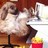 didile34's profile image