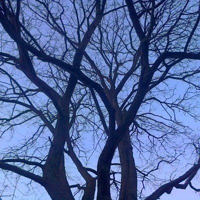 claremont_giddy's profile picture. Giddy gravy boater