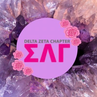 ValpoSLG's profile picture. 