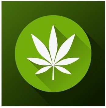 The TREE Token recognizes the importance of the Marijuana industry. It is dedicated to bringing customers the best experience possible to purchase their needs.