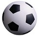 Accessible and informative insight into the business of football (soccer) written by Professor Wyn Grant