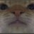 teofn7's profile image