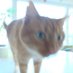 an1000 (@an0x03e8) Twitter profile photo an1000 (@an0x03e8) Twitter profile photo