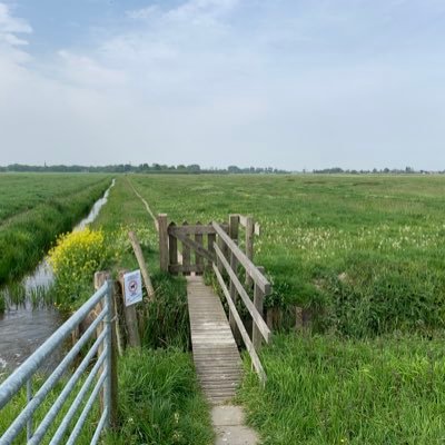 gepensioneerd en nog wel vrijwilliger/Knotgroep Midden-Delfland/Historische Vereniging Maasland/Gewerkt bij Gemeente Vlaardingen.